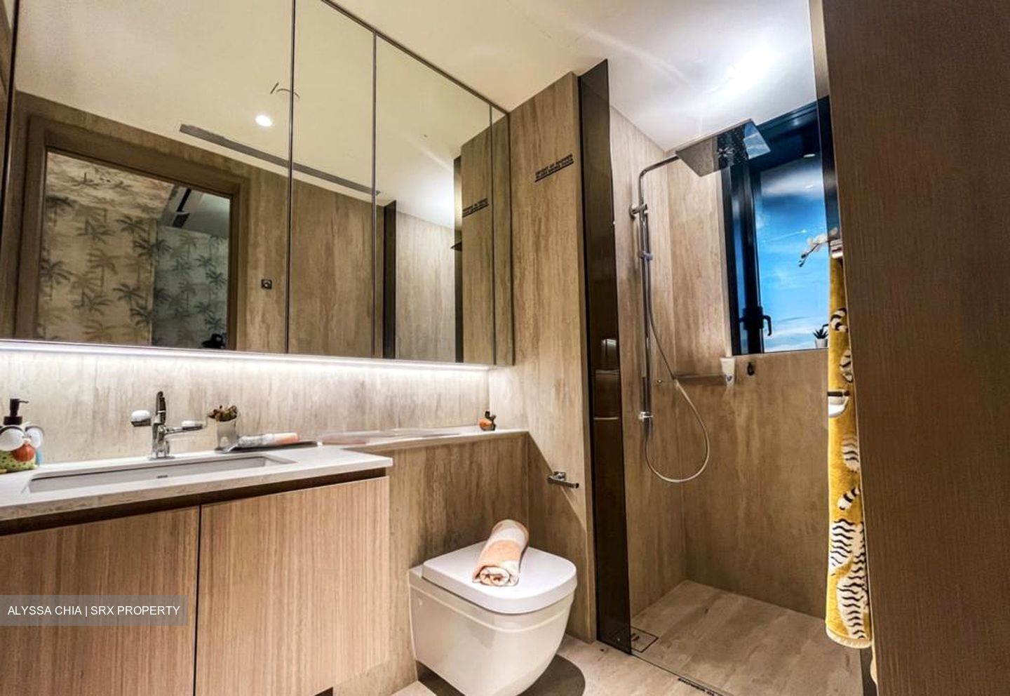 Tah Ching Road (D22), Condominium #529070741